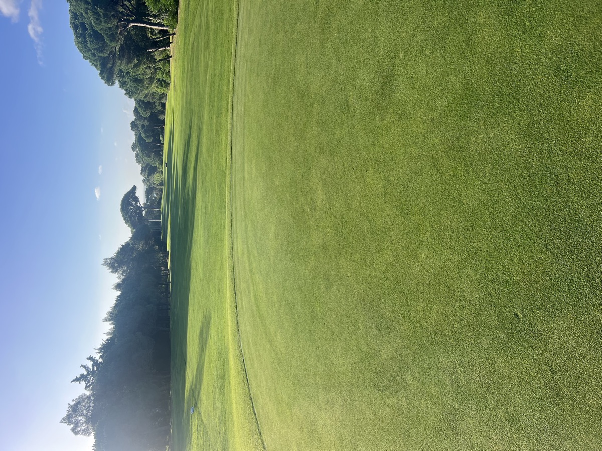 Morning view down a tree-lined fairway