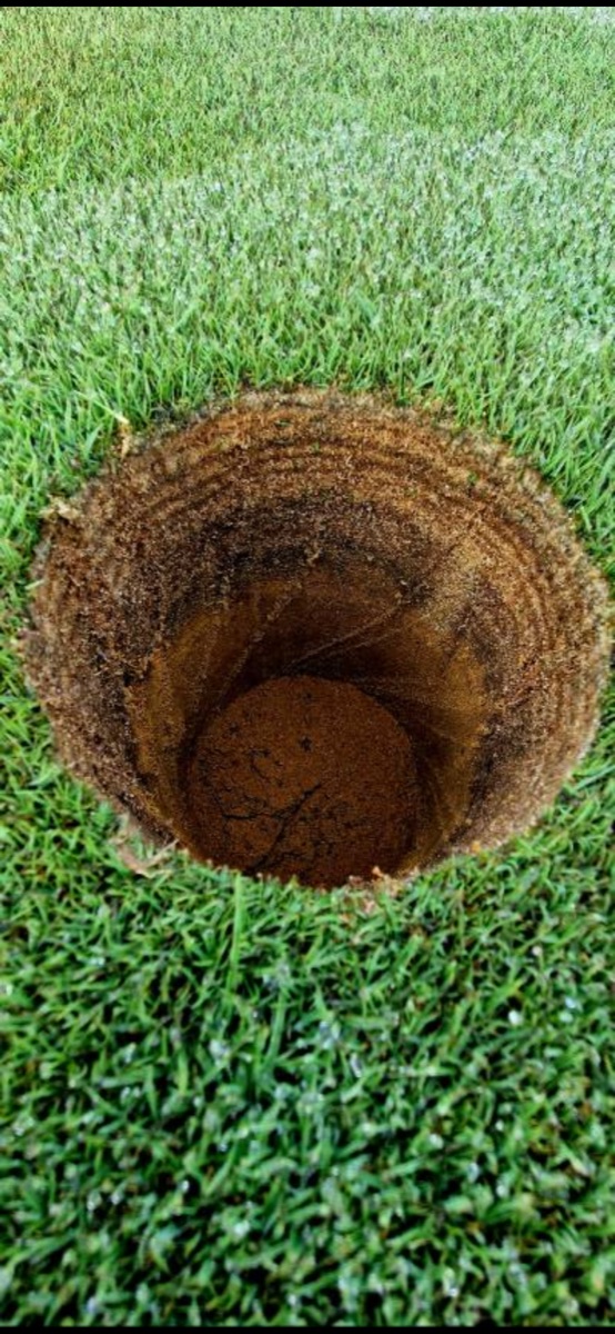 Close-up of a hole in the turf revealing problems below the surface