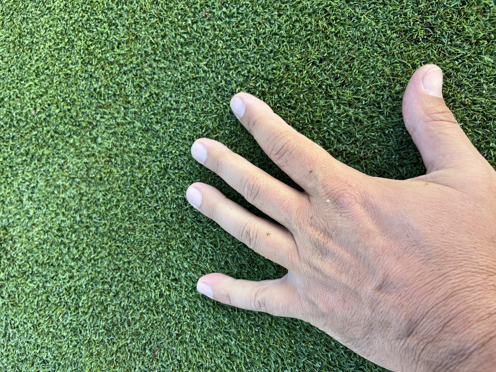 Yavor Atanasov's hand on a tightly mown putting surface
