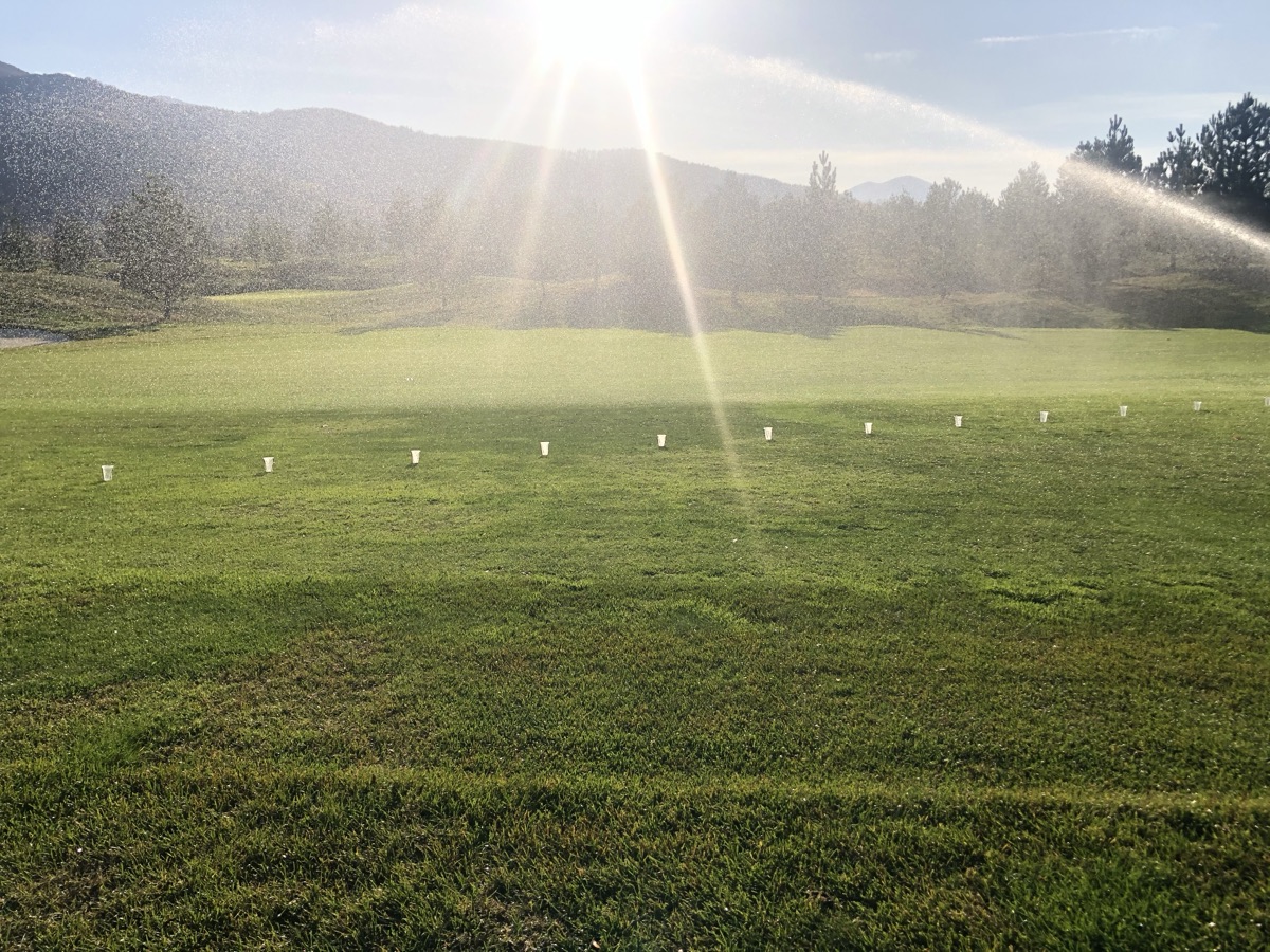 Sprinklers running at dawn during an irrigation audit