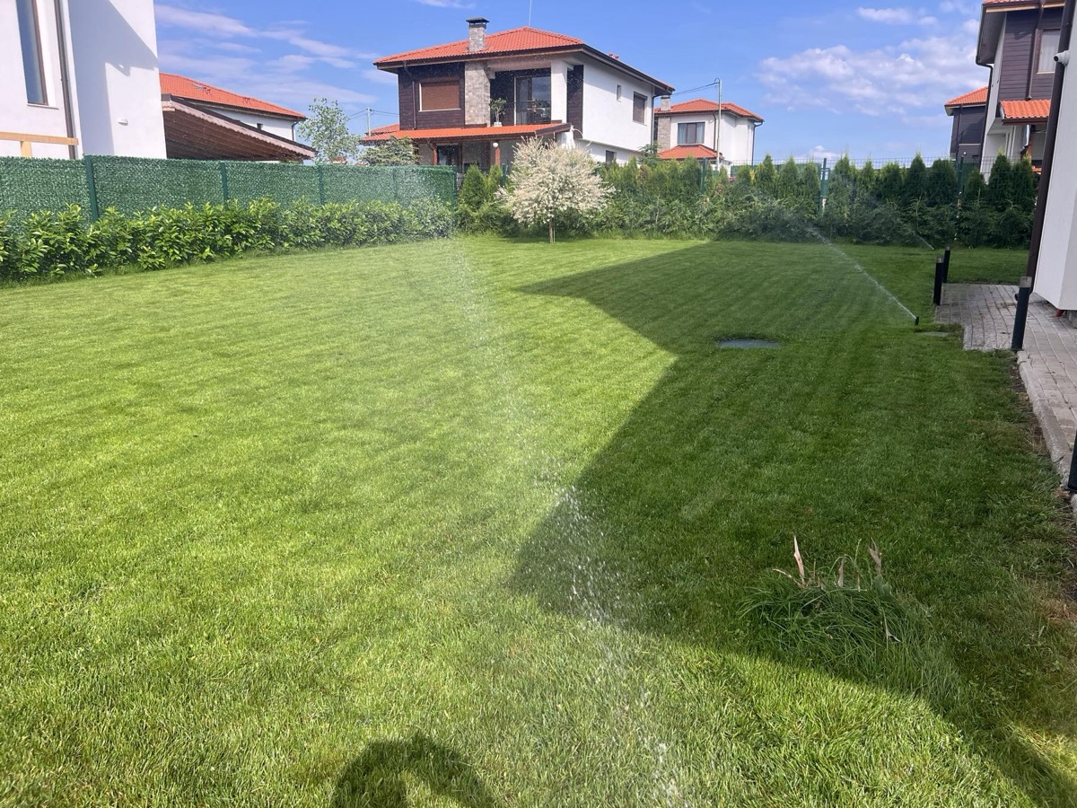 Lush irrigated lawn — after