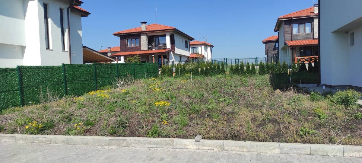Bare overgrown plot — before