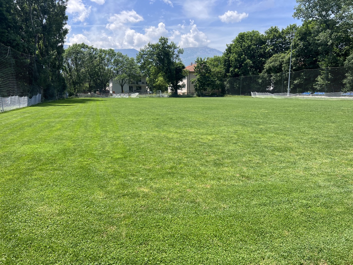 Same sports field with dense, uniform turf — after