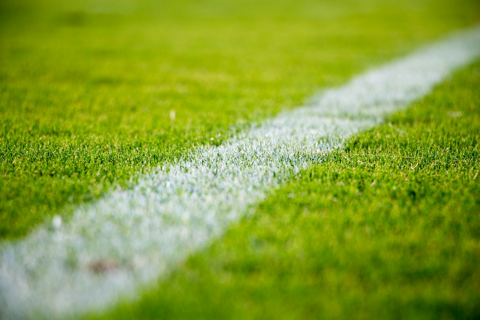 Fresh line marking on a sports pitch