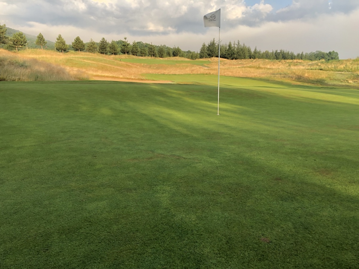 Deep rough framing a championship green