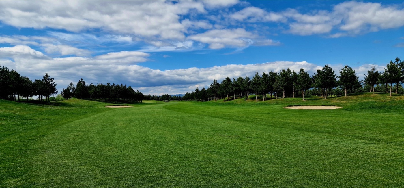 St. Sofia Golf Course — fairway between the pines