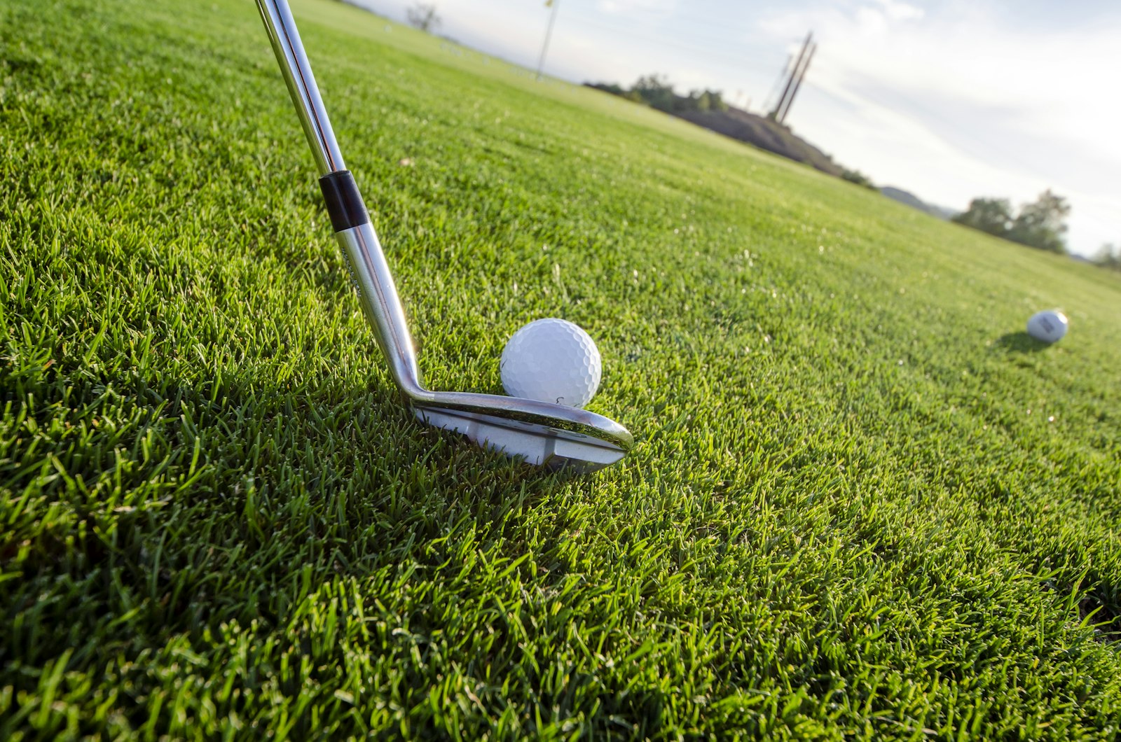 Close-mown turf detail